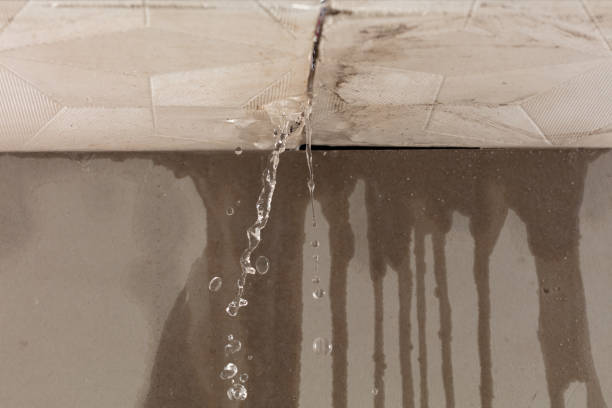 Professional Water Damage Repair technician working in Bethpage, NY